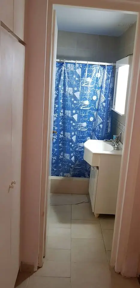 EXCELENTE DEPARTAMENTO           110 - Imagen 9