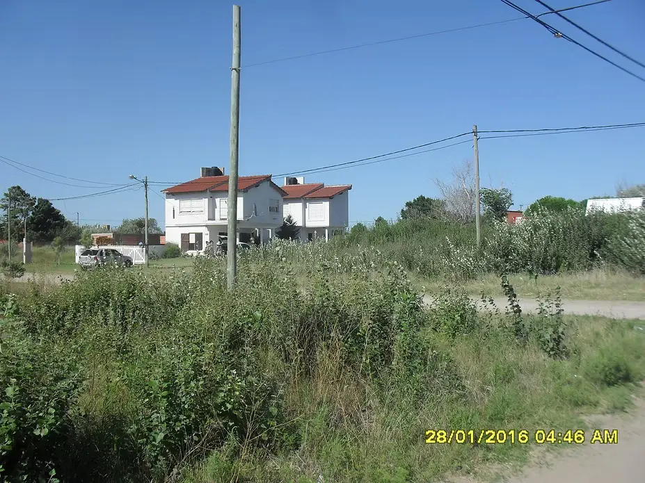 EXCELENTE LOTE - Imagen 3