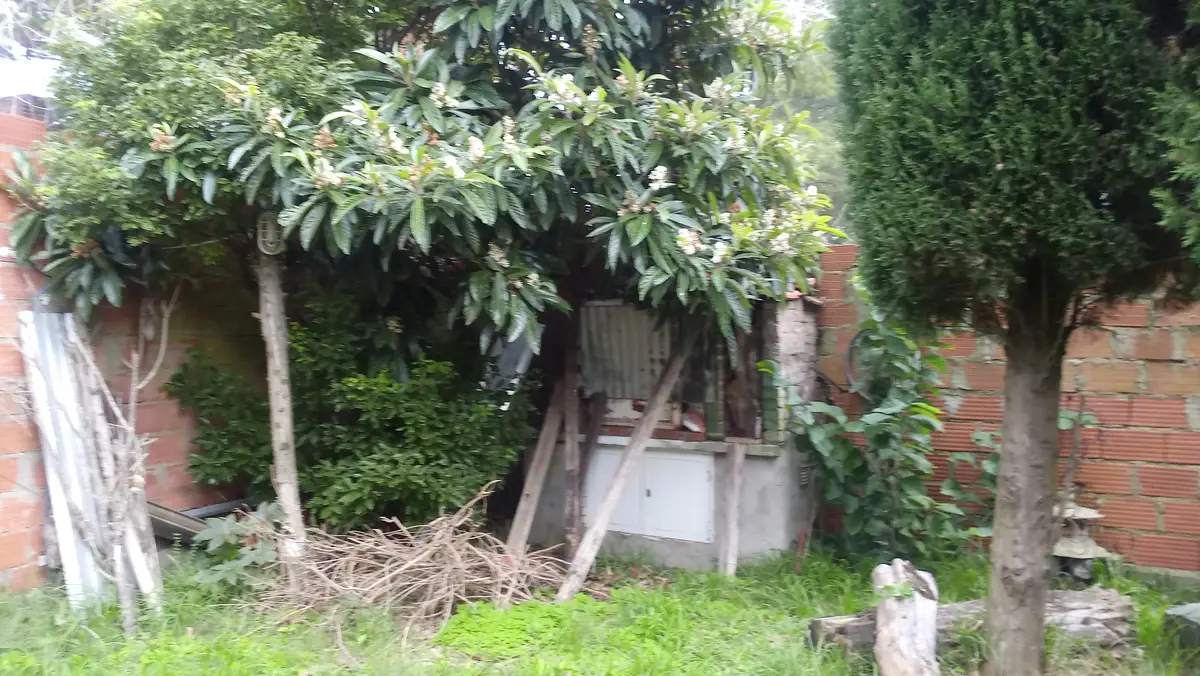 EXCELENTE CASA - Imagen 5